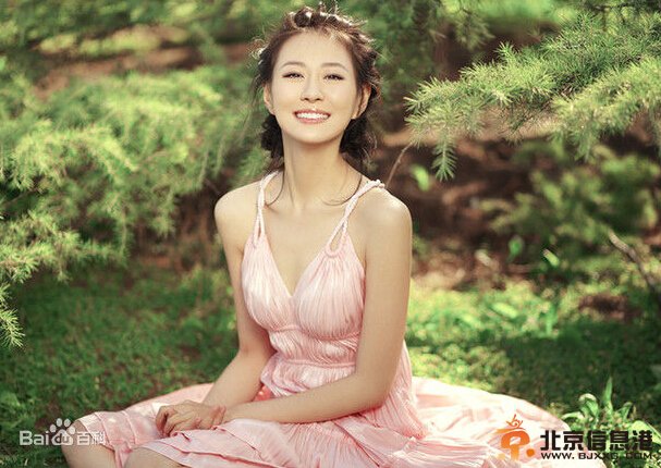 历史转折中的邓小平剧情介绍