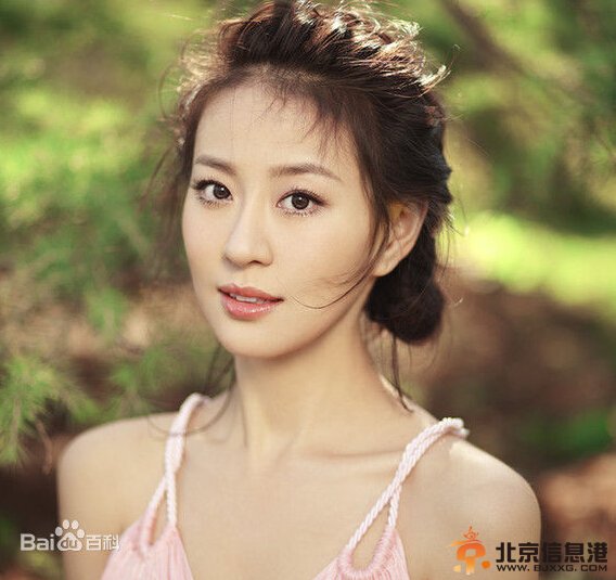 历史转折中的邓小平剧情介绍