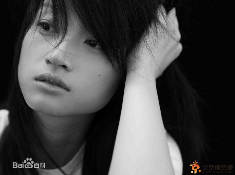北平无战事剧情介绍
