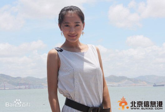 历史转折中的邓小平剧情介绍