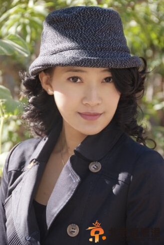 历史转折中的邓小平剧情介绍