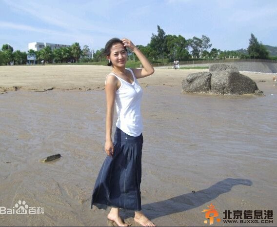 历史转折中的邓小平剧情介绍