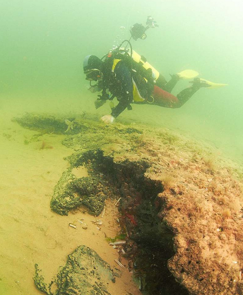 北海海底发现1万年前远古树林 生长于冰河世纪