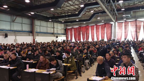 “任性”买家频现中央级公车拍卖溢价率高引关注