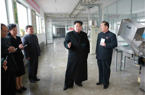 金正恩视察化妆品工厂称要研究世界最好化妆品（图）