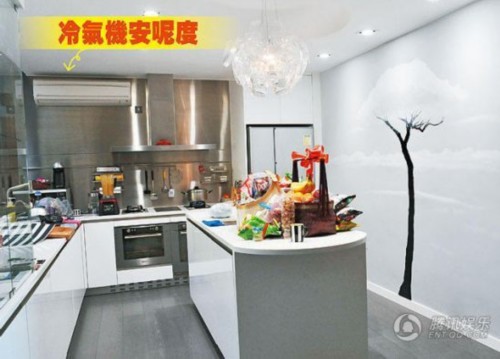 王祖蓝装修被坑 明星被当冤大头狂宰【图】