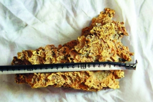 7.85公斤的狗头金