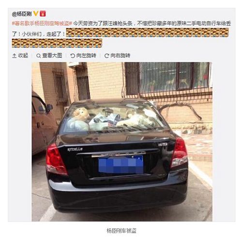 杨臣刚抢头条 发微博爱车被盗胁偷车人归还车辆