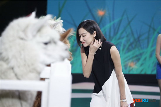 最强大脑李璐颜值爆表美女捕捉声波令人震撼 李璐惊现窃听风云真人版【图】