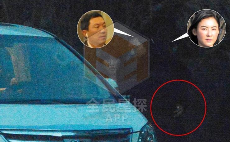 张柏芝恋大12岁富豪相约别墅 孙东海个人资料真的不简单 