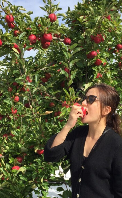 赵薇果园吃苹果