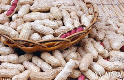 老干妈在澳下架 花生过敏“以毒攻毒”或可解除