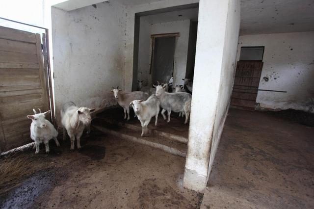 庐山豪华别墅烂尾 王姓商人非法集资入狱豪华别墅工程泡汤