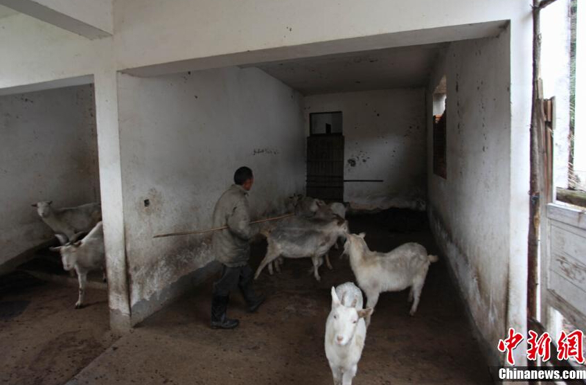 庐山豪华别墅烂尾 王姓商人非法集资入狱豪华别墅工程泡汤