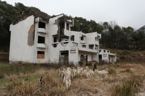 庐山豪华别墅烂尾成羊圈 已闲置了近20年【图】