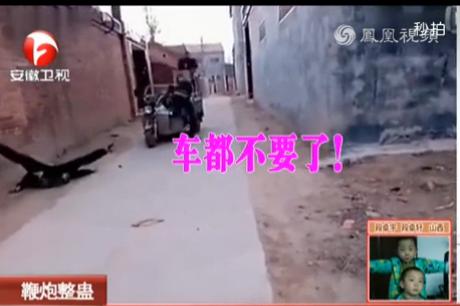 大哥别杀我方言版整蛊视频疯传 看看用生命在恶搞的人们