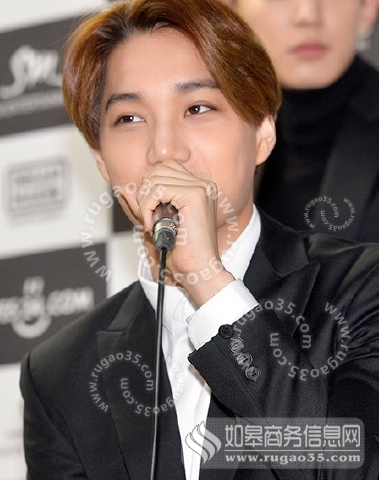 KAI在exo二巡演唱会受伤 exo二巡演唱会现场看到EXO崭新面貌 