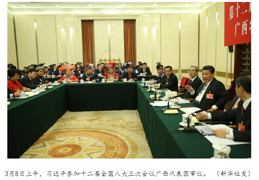 习近平在广西团：扶贫少搞盆景 多搞实事