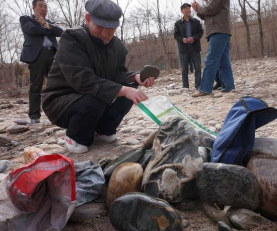 黄河奇石遭热捧 人们对其收藏已有数百年的<a href='http://www.bjxxg.cn/news/lishi/' target='_blank'><u>历史</u></a>