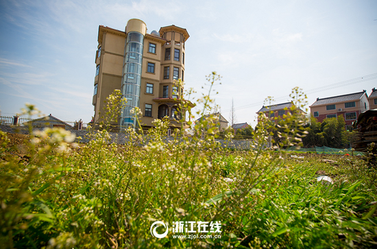 浙江土豪建农居房 有观光电梯游泳池