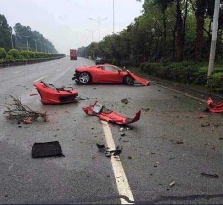 【现场】佛山法拉利撞断大树 车身断成两截车主仍安然无恙