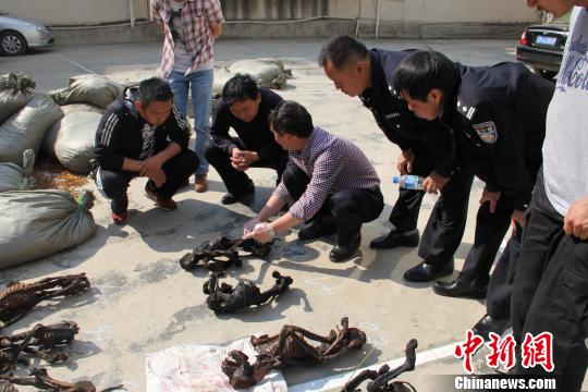 云南保山查获疑似猴类死体52只场面残忍（图）