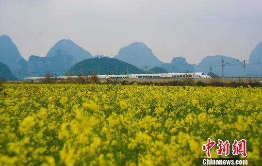 广西铁路沿线环境整治效果显 乘高铁如在田园画中游