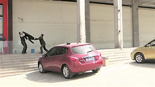 流浪猫从8米高台掉落 被消防员用衣服接住(图)