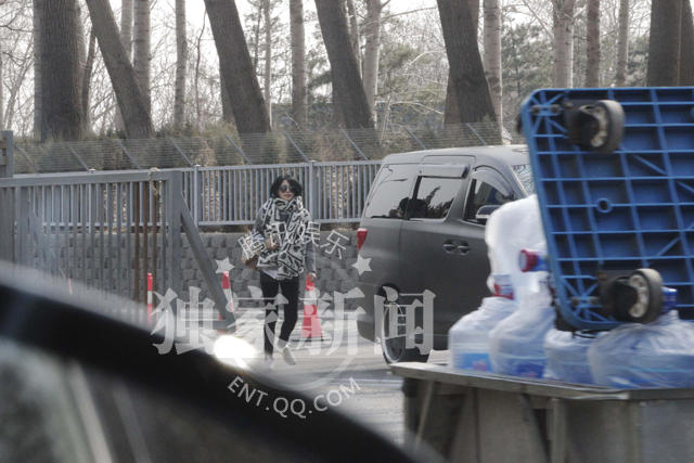 王菲偷会李嫣引保安关注驱赶 女儿逃学与母享下午茶