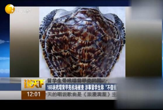 <a href='http://www.bjxxg.cn/edu/liuxue/' target='_blank'><u>留学生</u></a>携带玳瑁获刑 是中国古代神话四大神兽之一