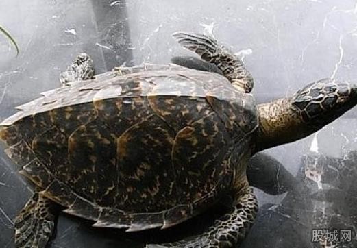 点击图片查看下一页