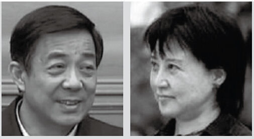 媒体盘点“大老虎的夫人们”：以夫之名都干了啥