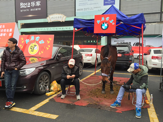 2015杭州问题车展现场维权平台维权成功率达90%