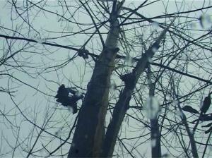 江苏多地“黑昼”瞬间入夜 下午1点50分扬州如黑夜