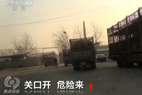 曝生猪收购黑幕:病猪无任何检疫 养殖户自己不吃