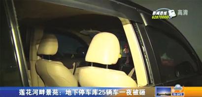莲花河畔景苑25辆车被砸
