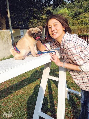 吴绮莉开工与小狗互动 称要与女儿一起<a href='http://www.bjxxg.cn/baby/chengzhang/' target='_blank'><u>成长</u></a>