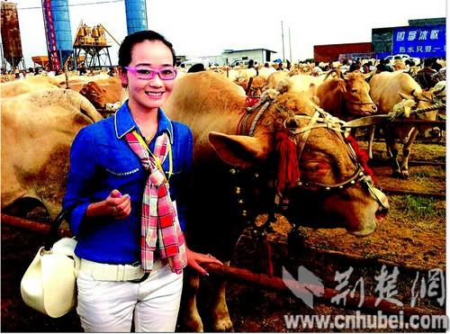 海归女歌手放弃唱歌 投1000多万回乡帮母亲养牛