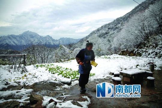 男子弃百万年薪去终南山修行的隐士