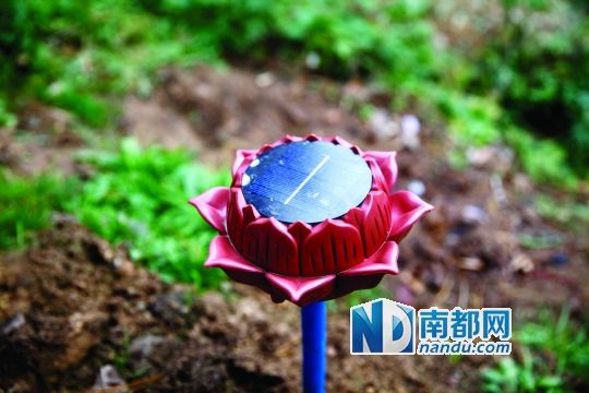 男子弃百万年薪去终南山修行的隐士