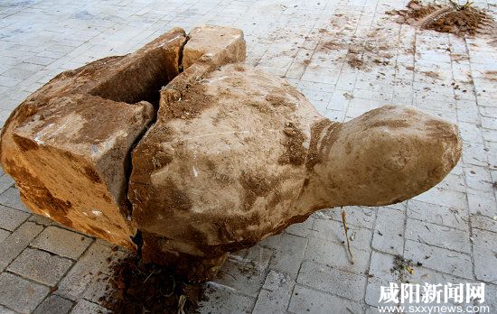 唐朝下西洋第一人比郑和早620年 唐代外交官杨良瑶神道碑基座被发现