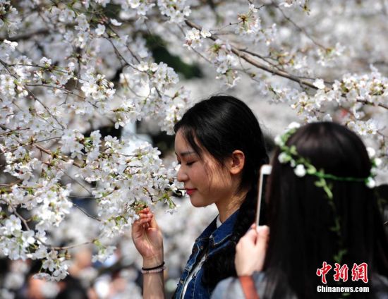游客挤爆武大赏樱花成