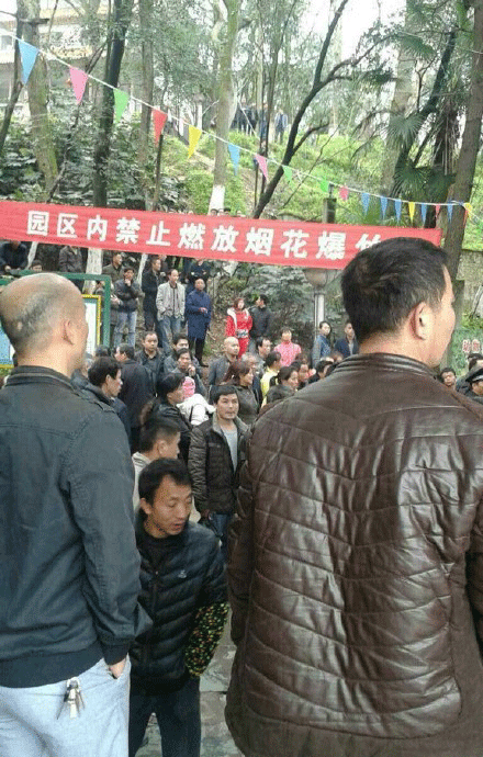 江西宜春公园一只老虎失控咬死一名工作人员