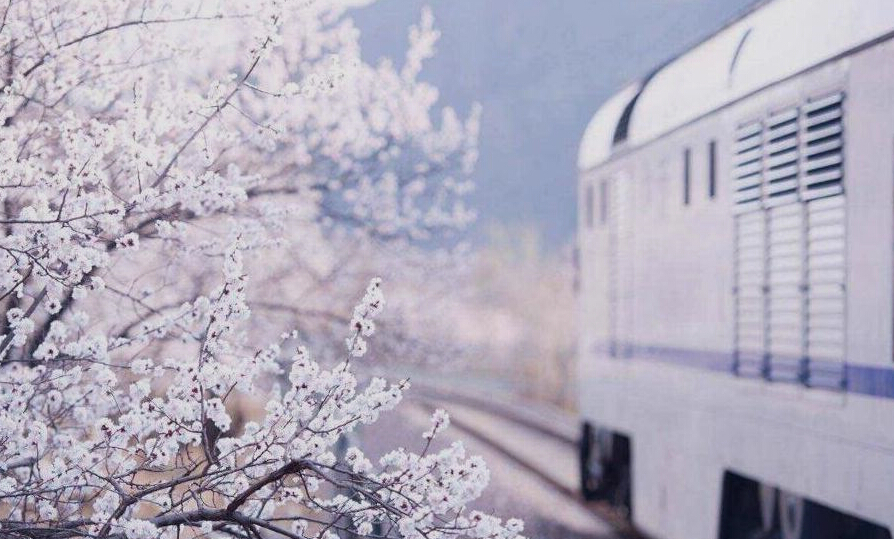 和谐号列车穿越居庸关花海 被赞开往春天的列车