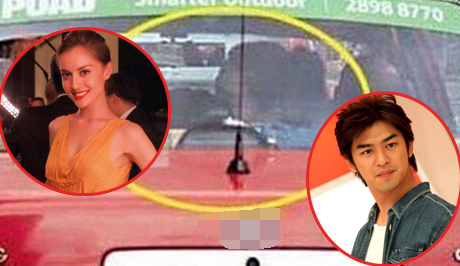 盘点车震门主角现状 TVB花旦杨怡取消婚约(图)