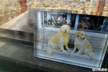 宠物公墓