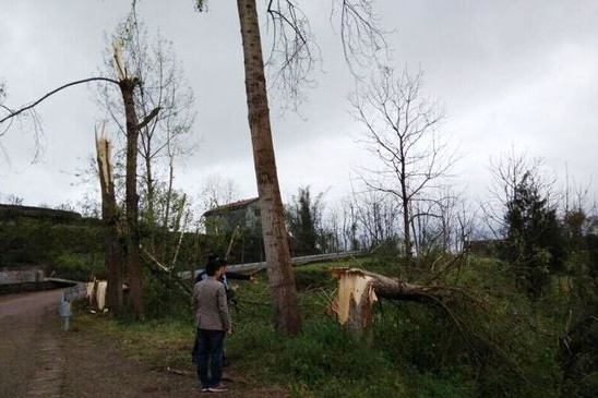武胜遭遇13级大风风力究竟有多强？可吹翻火车已致7人死亡  