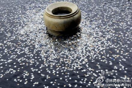 死难者纪念馆水池变许愿池 南京大屠杀纪念馆被丢近万枚硬币