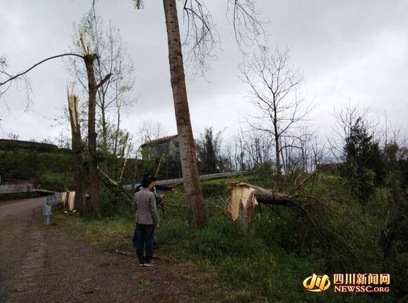 广安遭遇13级大风致7人死亡 直接经济损失约1.2亿元