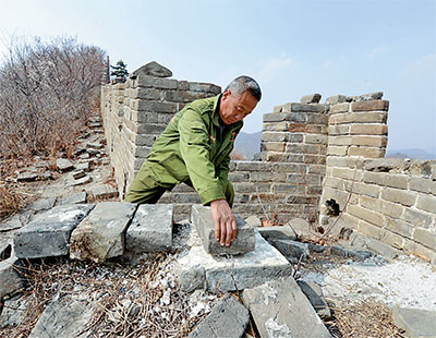 守护长城37年（点赞中国·随手拍）